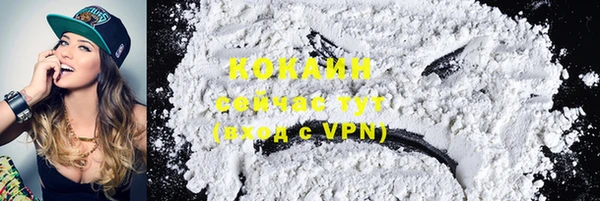 гидра Дмитриев