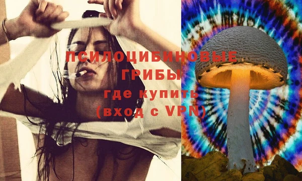 амфетамин Гусев