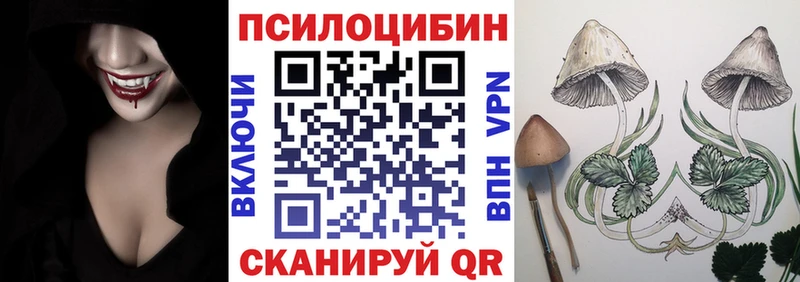Галлюциногенные грибы MAGIC MUSHROOMS  где можно купить   Дзержинск 